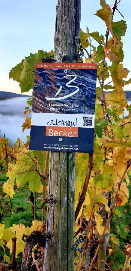 Weingut U. Gaestehaus Becker Platten Exterior photo